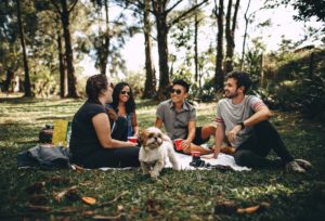 group of friends having a picnic with a dog 